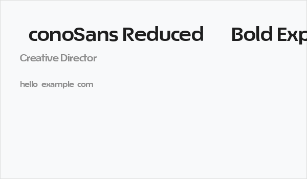 ÉconoSans Reduced 73 Bold Expanded Business Card