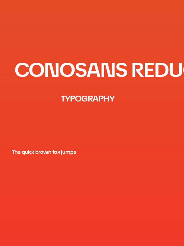 ÉconoSans Reduced 73 Bold Expanded Poster