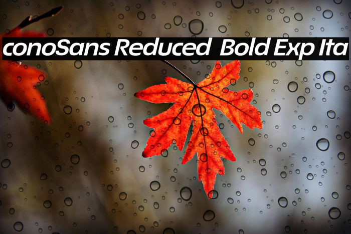 ÉconoSans Reduced 74 Bold Exp Ita Example 1