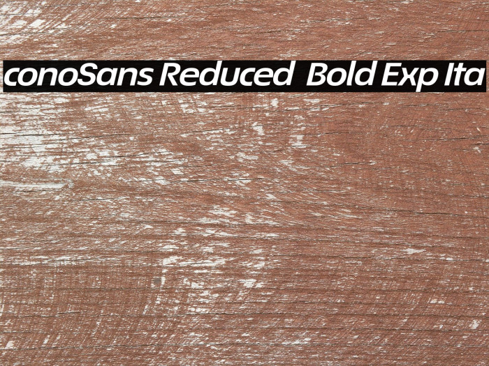 ÉconoSans Reduced 74 Bold Exp Ita Example 2