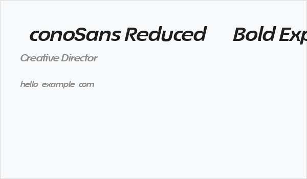 ÉconoSans Reduced 74 Bold Exp Ita Business Card