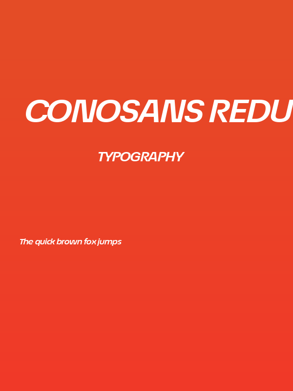 ÉconoSans Reduced 74 Bold Exp Ita Poster