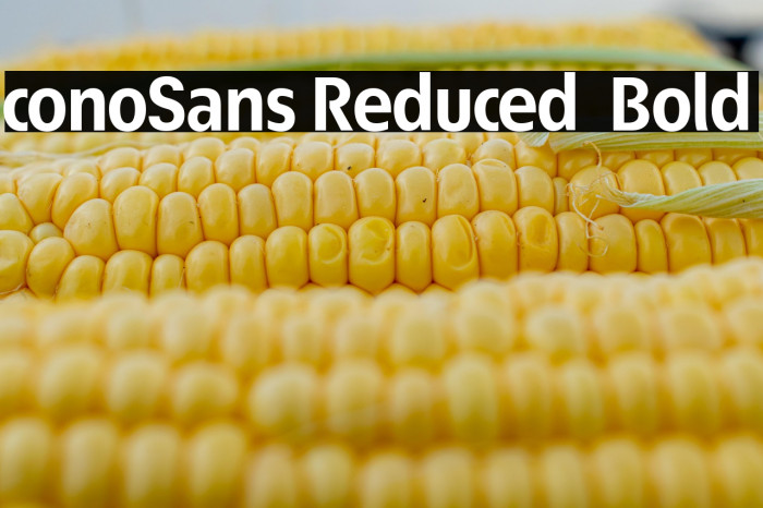 ÉconoSans Reduced 75 Bold Example 1