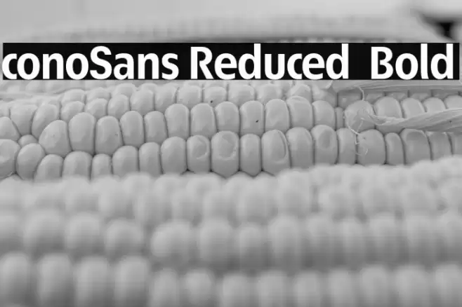 ÉconoSans Reduced 75 Bold Font examples