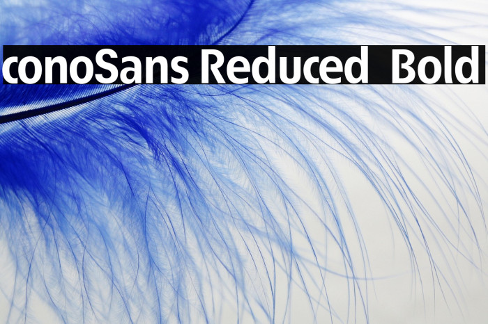 ÉconoSans Reduced 75 Bold Example 2