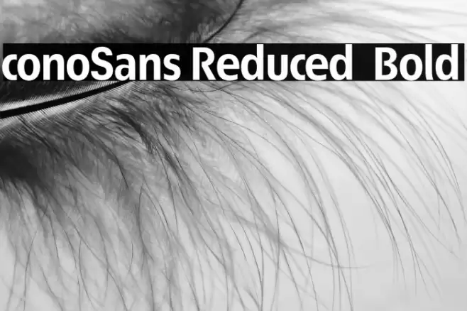 ÉconoSans Reduced 75 Bold Font examples