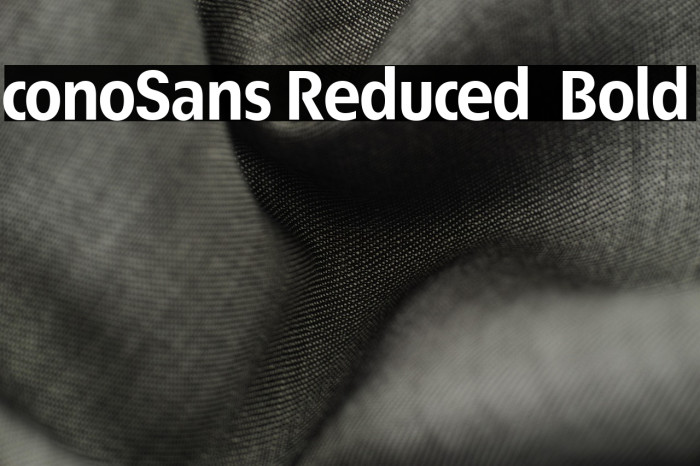 ÉconoSans Reduced 75 Bold Example 3