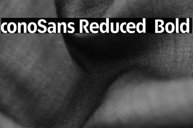 ÉconoSans Reduced 75 Bold Font examples