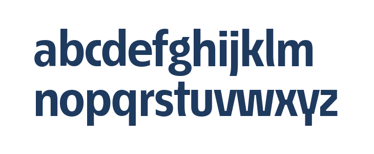 ÉconoSans Reduced 75 Bold Lowercase