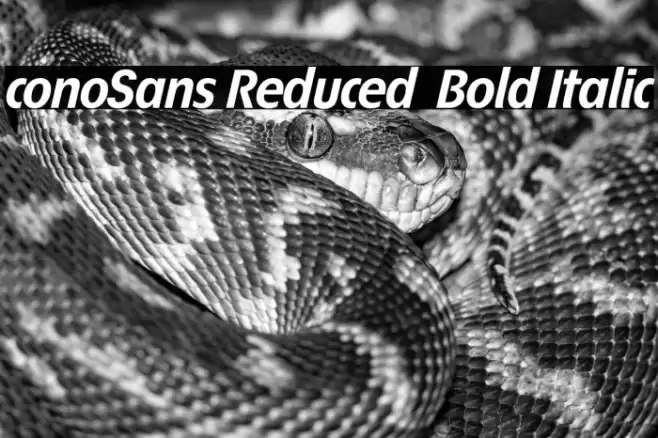 ÉconoSans Reduced 76 Bold Italic Font examples