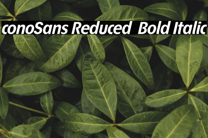 ÉconoSans Reduced 76 Bold Italic Example 2