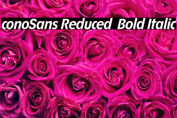 ÉconoSans Reduced 76 Bold Italic Example 3
