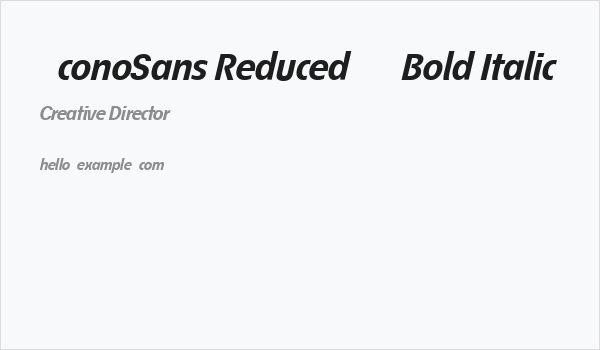 ÉconoSans Reduced 76 Bold Italic Business Card