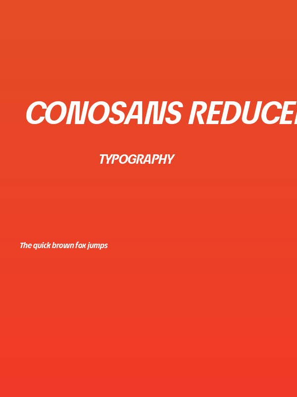 ÉconoSans Reduced 76 Bold Italic Poster