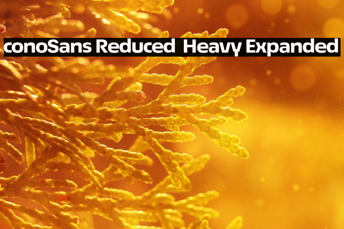 ÉconoSans Reduced 83 Heavy Expanded Example 1