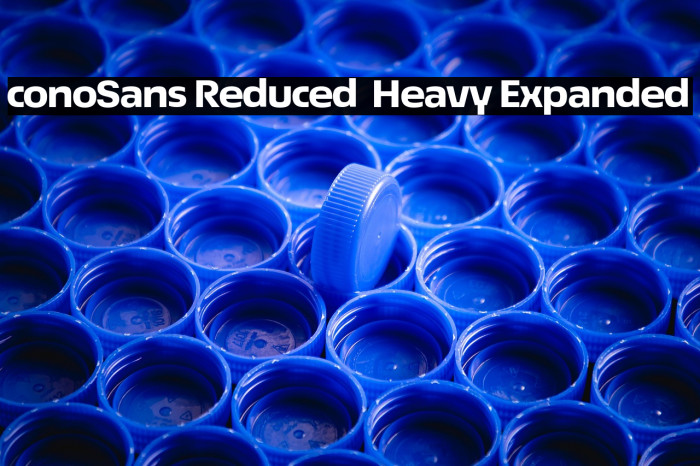 ÉconoSans Reduced 83 Heavy Expanded Example 2