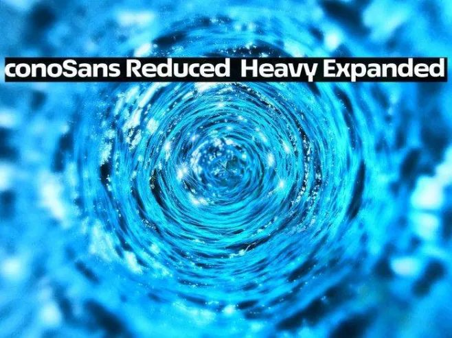 ÉconoSans Reduced 83 Heavy Expanded Example 3