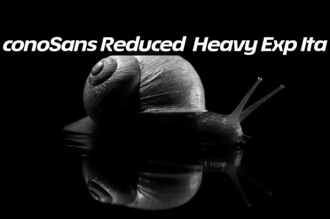 ÉconoSans Reduced 84 Heavy Exp Ita Font examples