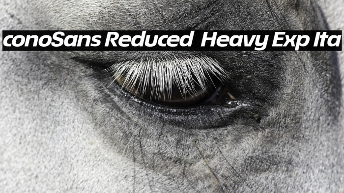 ÉconoSans Reduced 84 Heavy Exp Ita Example 2