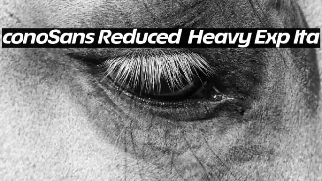 ÉconoSans Reduced 84 Heavy Exp Ita Font examples