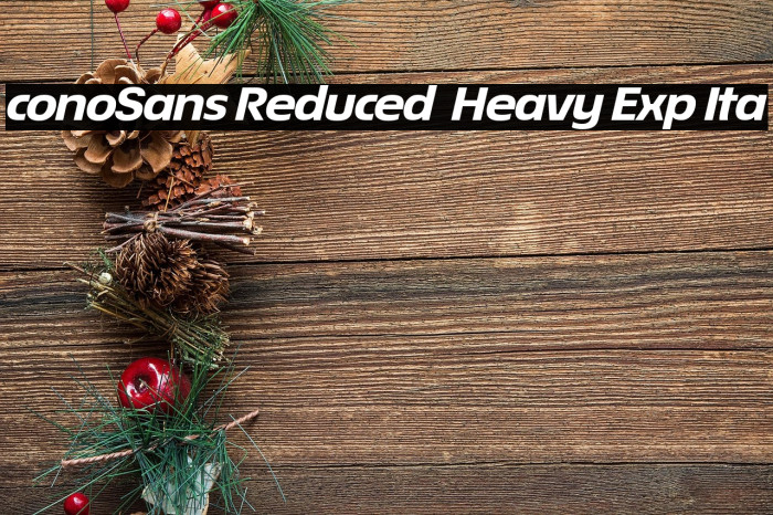 ÉconoSans Reduced 84 Heavy Exp Ita Example 3