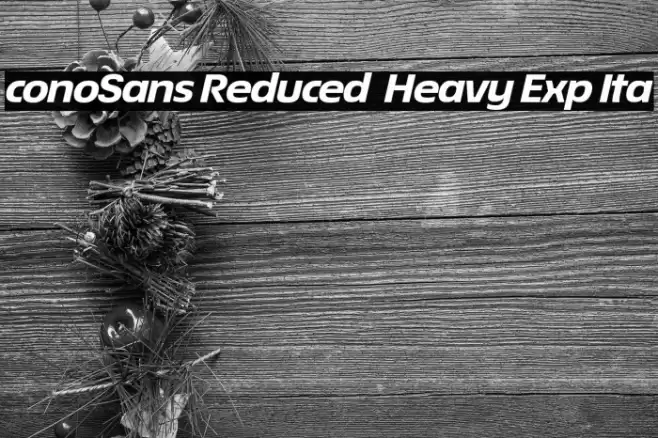 ÉconoSans Reduced 84 Heavy Exp Ita Font examples