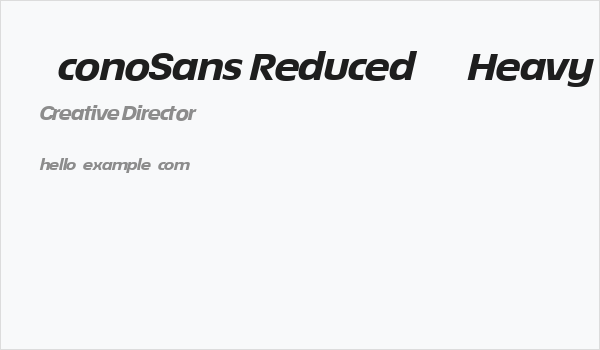 ÉconoSans Reduced 84 Heavy Exp Ita Business Card