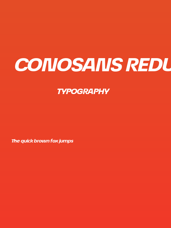 ÉconoSans Reduced 84 Heavy Exp Ita Poster