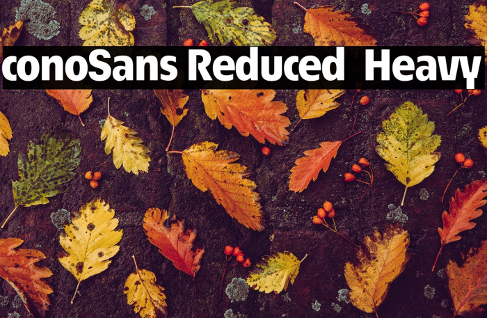 ÉconoSans Reduced 85 Heavy Example 1