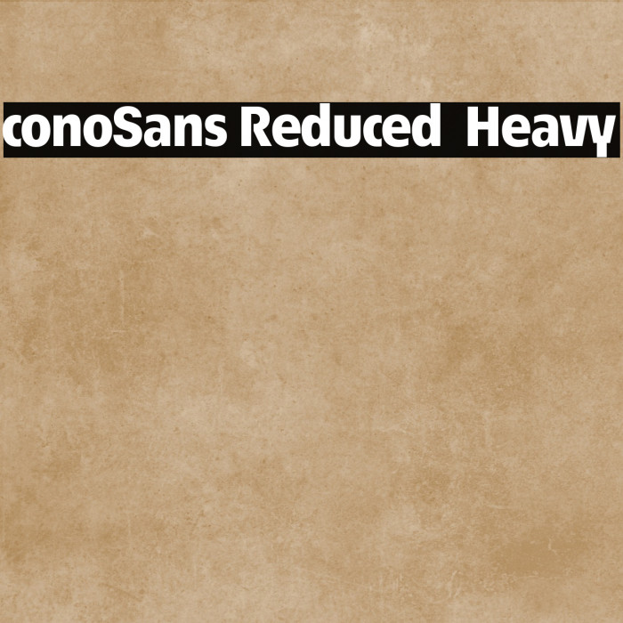 ÉconoSans Reduced 85 Heavy Example 2