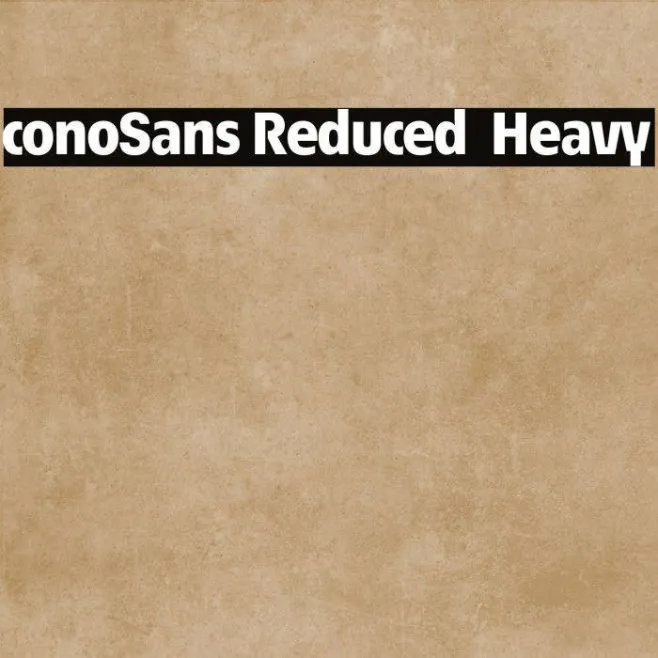ÉconoSans Reduced 85 Heavy Example 2