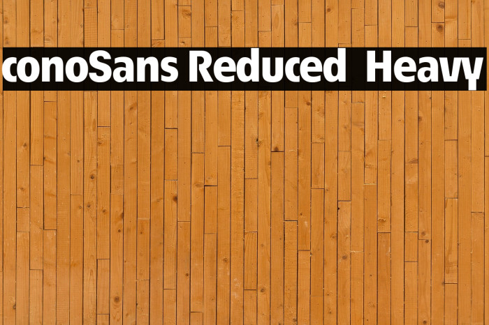ÉconoSans Reduced 85 Heavy Example 3