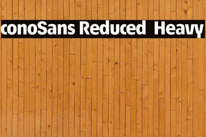 ÉconoSans Reduced 85 Heavy Example 3