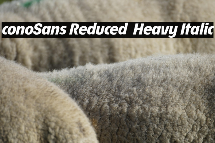 ÉconoSans Reduced 86 Heavy Italic Example 1