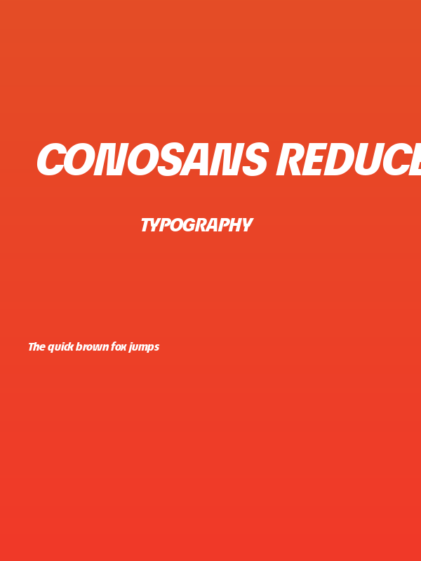 ÉconoSans Reduced 86 Heavy Italic Poster