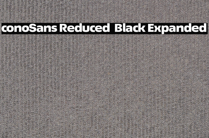ÉconoSans Reduced 93 Black Expanded Example 1
