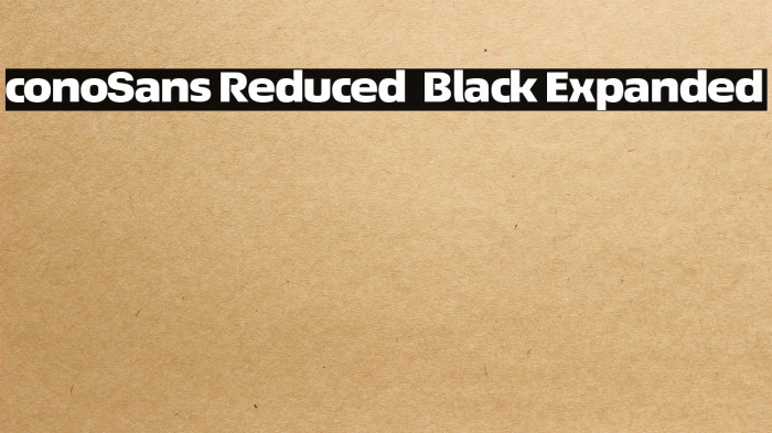ÉconoSans Reduced 93 Black Expanded Example 3