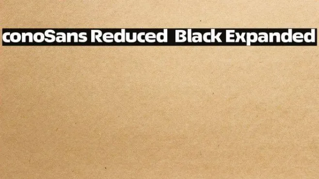 ÉconoSans Reduced 93 Black Expanded Example 3