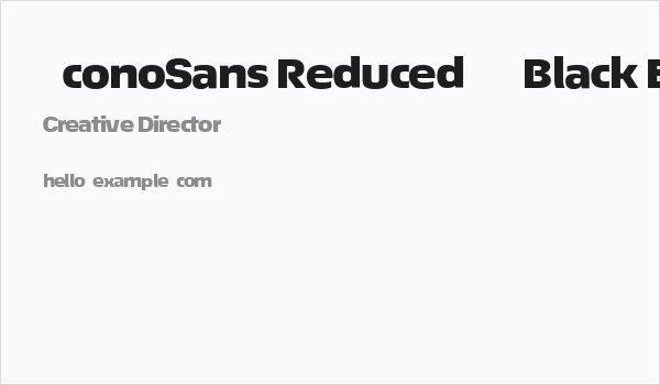 ÉconoSans Reduced 93 Black Expanded Business Card