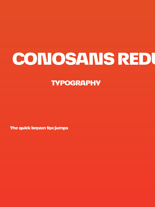 ÉconoSans Reduced 93 Black Expanded Poster