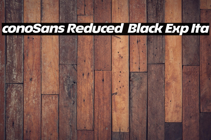ÉconoSans Reduced 94 Black Exp Ita Example 1