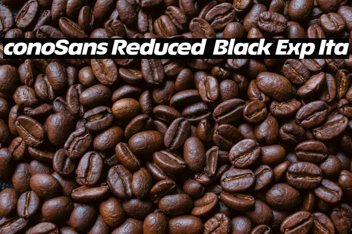 ÉconoSans Reduced 94 Black Exp Ita Example 3