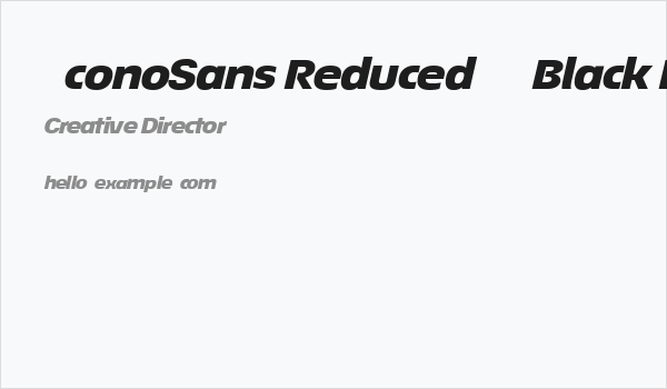 ÉconoSans Reduced 94 Black Exp Ita Business Card