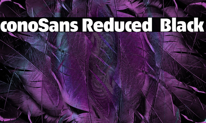 ÉconoSans Reduced 95 Black Example 1