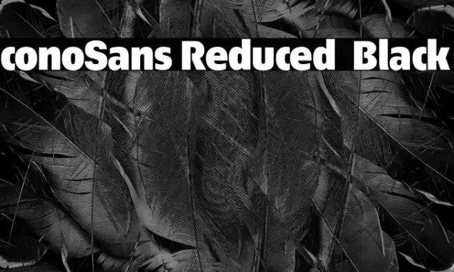 ÉconoSans Reduced 95 Black Font examples