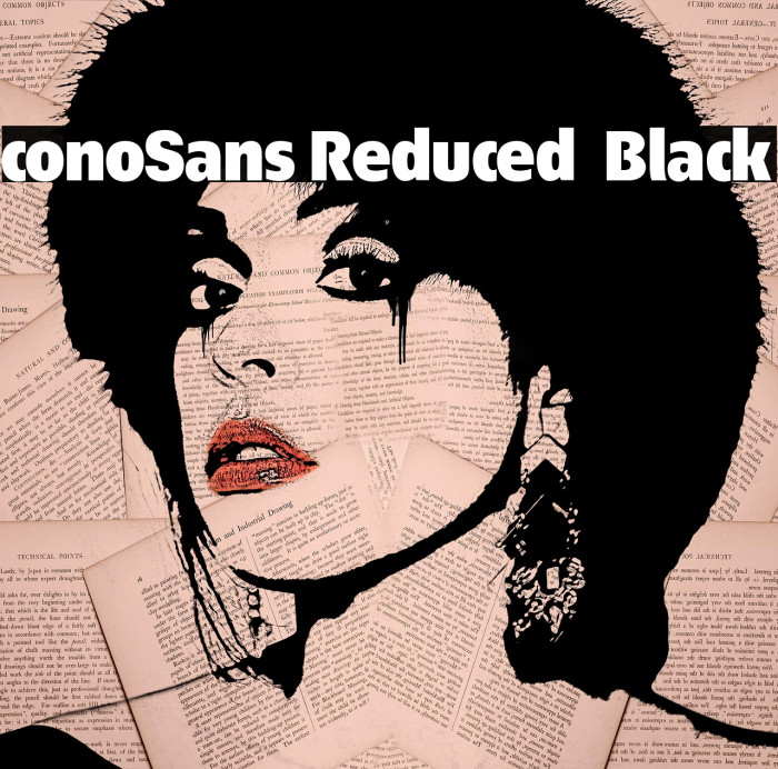 ÉconoSans Reduced 95 Black Example 3