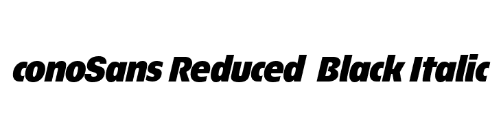 ÉconoSans Reduced 96 Black Italic  नि: शुल्क फ़ॉन्ट्स डाउनलोड