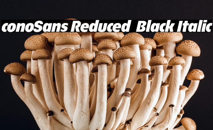 ÉconoSans Reduced 96 Black Italic Example 2