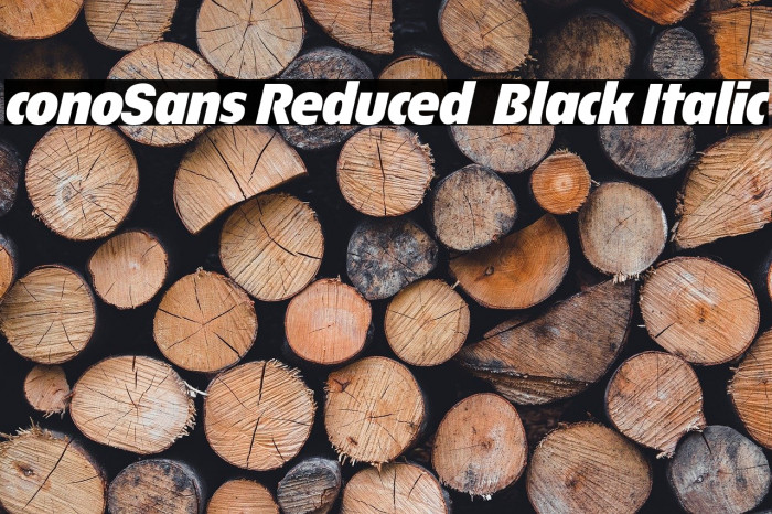 ÉconoSans Reduced 96 Black Italic Example 3