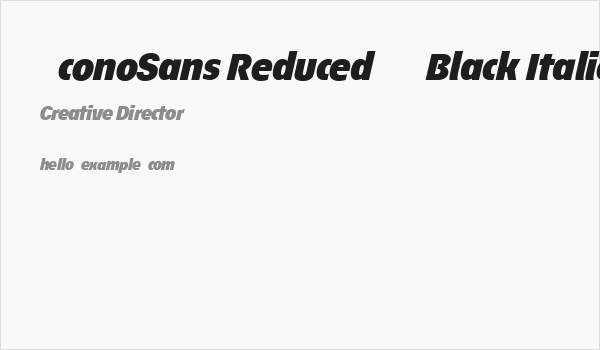 ÉconoSans Reduced 96 Black Italic Business Card